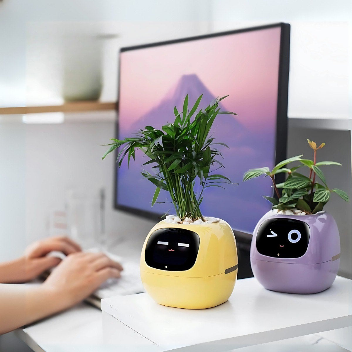 Smart Planter